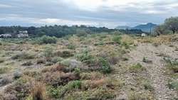 Οικόπεδο  (5)