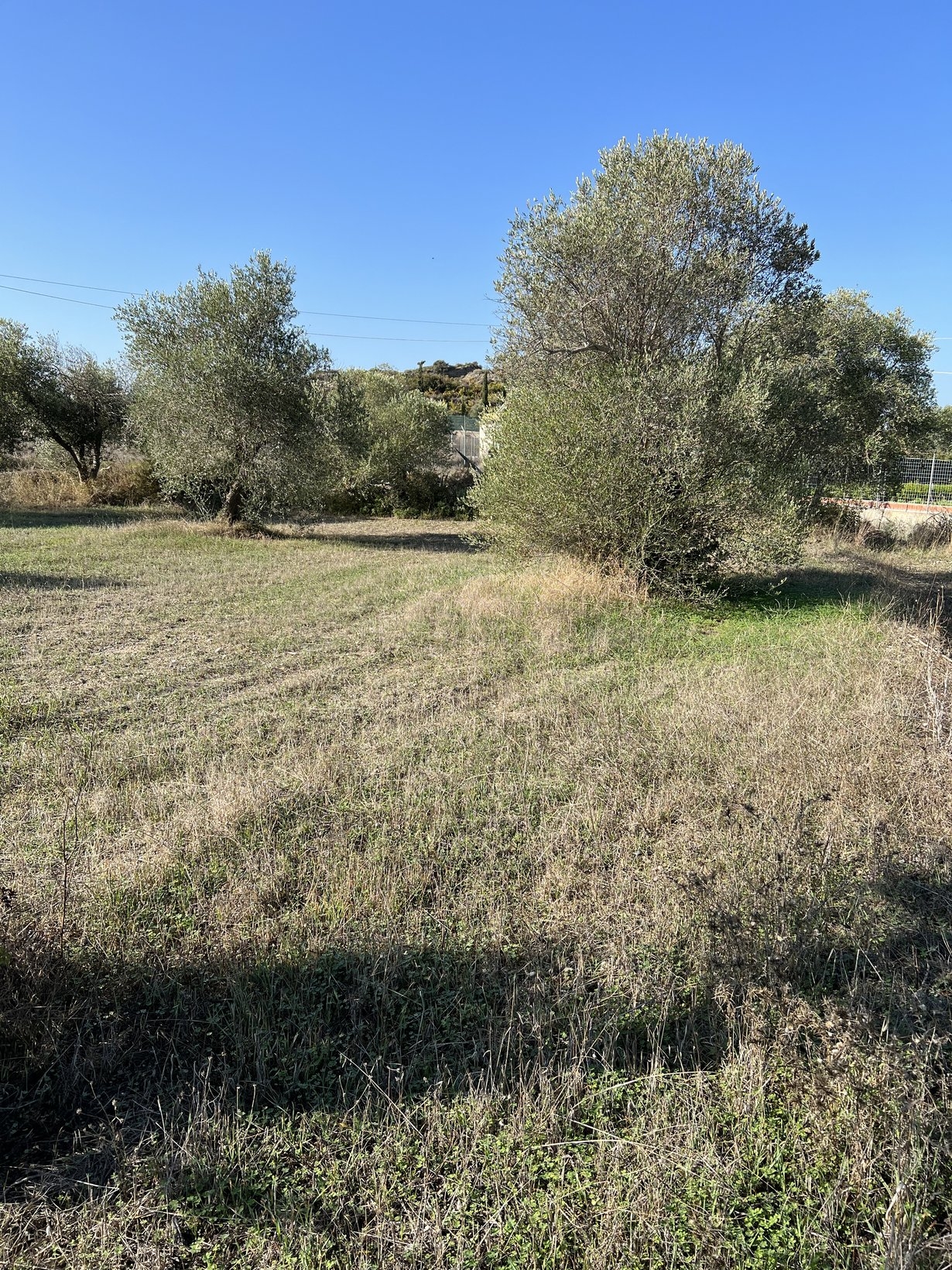 ΑΓΡΟΤΕΜΑΧΙΟ 4500 τ.μ.