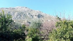 Κατοικίες  (5)