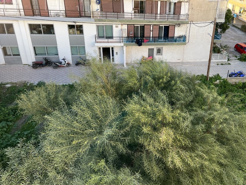 ΚΤΙΡΙΟ 550 τ.μ. (3)