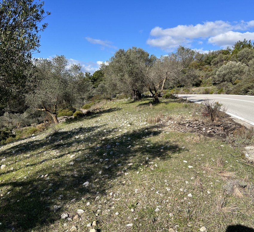 ΑΓΡΟΤΕΜΑΧΙΟ 8000 τ.μ.