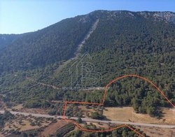 Οικόπεδο  (2)