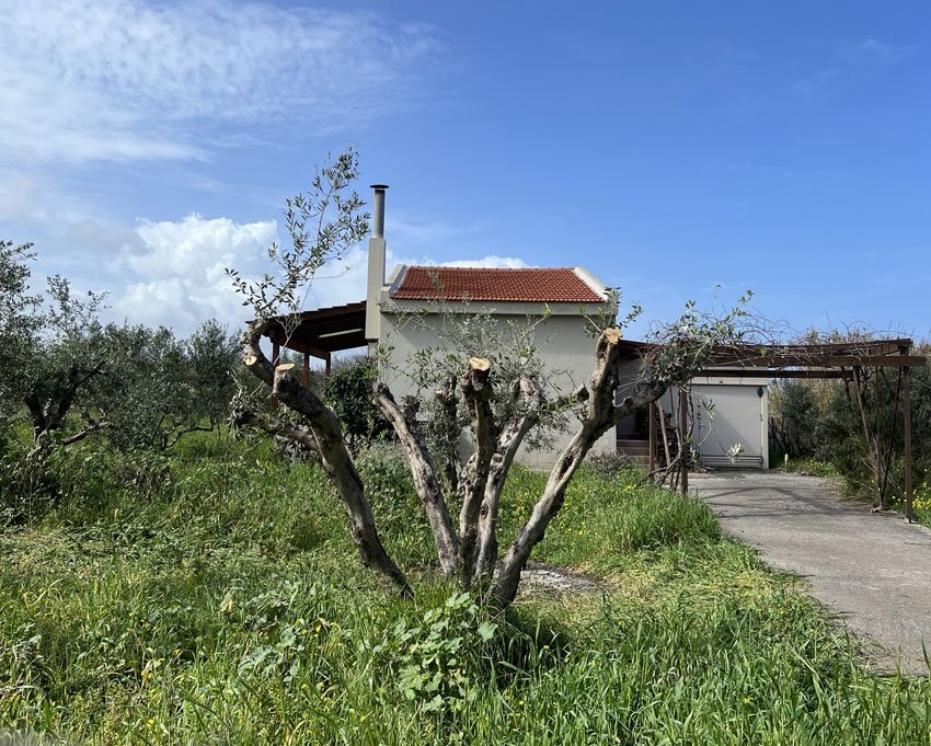 ΜΟΝΟΚΑΤΟΙΚΙΑ 55 τ.μ. (2)