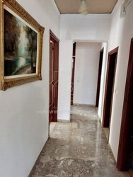 Διαμέρισμα  (5)