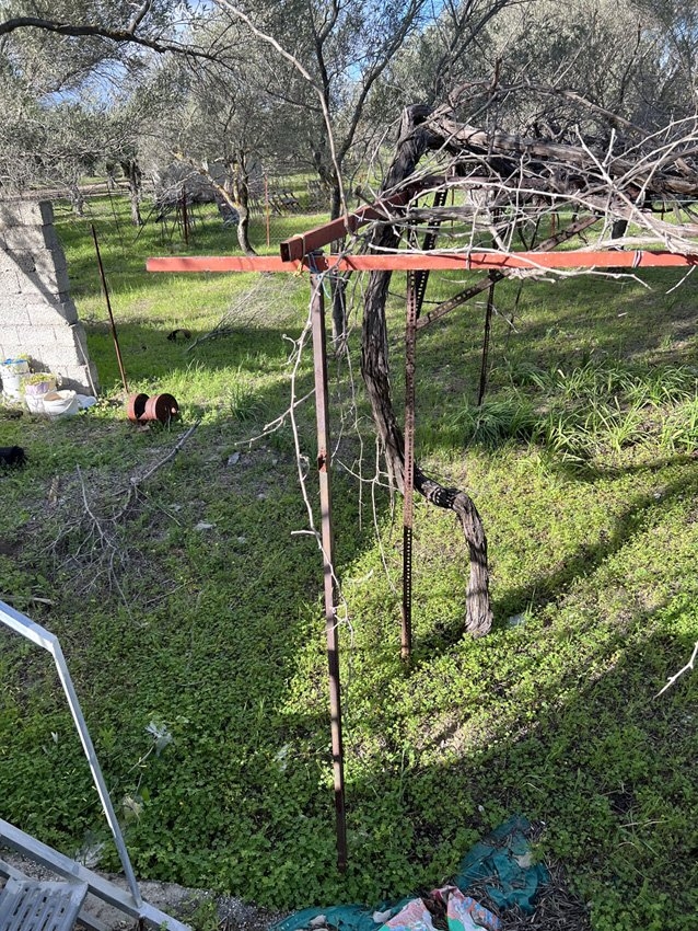 ΟΙΚΟΠΕΔΟ 3500 τ.μ. (2)