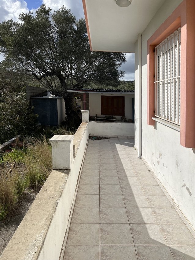 ΟΙΚΟΠΕΔΟ 3500 τ.μ. (3)