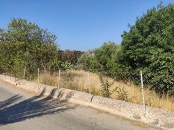 Οικόπεδο  (3)