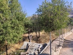 Οικόπεδο  (4)