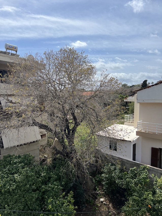 ΔΙΑΜΕΡΙΣΜΑ 107 τ.μ.