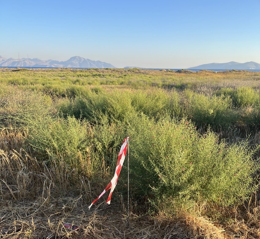 ΑΓΡΟΤΕΜΑΧΙΟ 9100 τ.μ. (3)