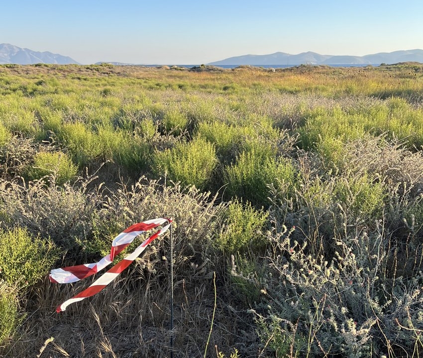 ΑΓΡΟΤΕΜΑΧΙΟ 9100 τ.μ. (4)