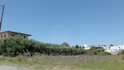 Οικόπεδο  (4)