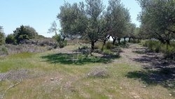 Οικόπεδο  (2)