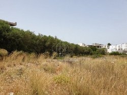 Οικόπεδο  (4)