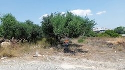 Οικόπεδο  (5)