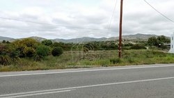 Οικόπεδο  (4)