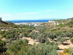 Αγροτεμάχιο 