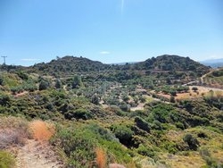 Αγροτεμάχιο  (2)