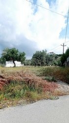 Οικόπεδο  (2)