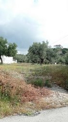 Οικόπεδο  (4)