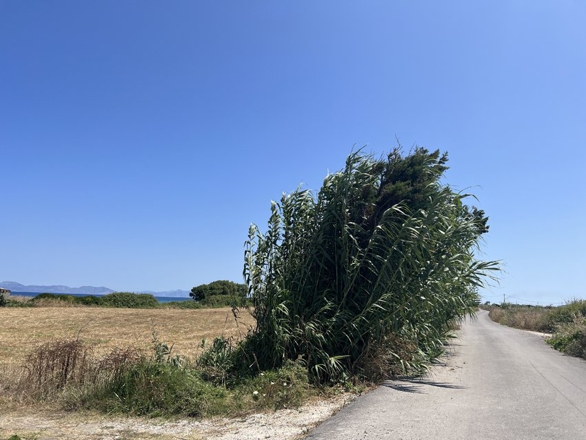 ΑΓΡΟΤΕΜΑΧΙΟ 5000 τ.μ.