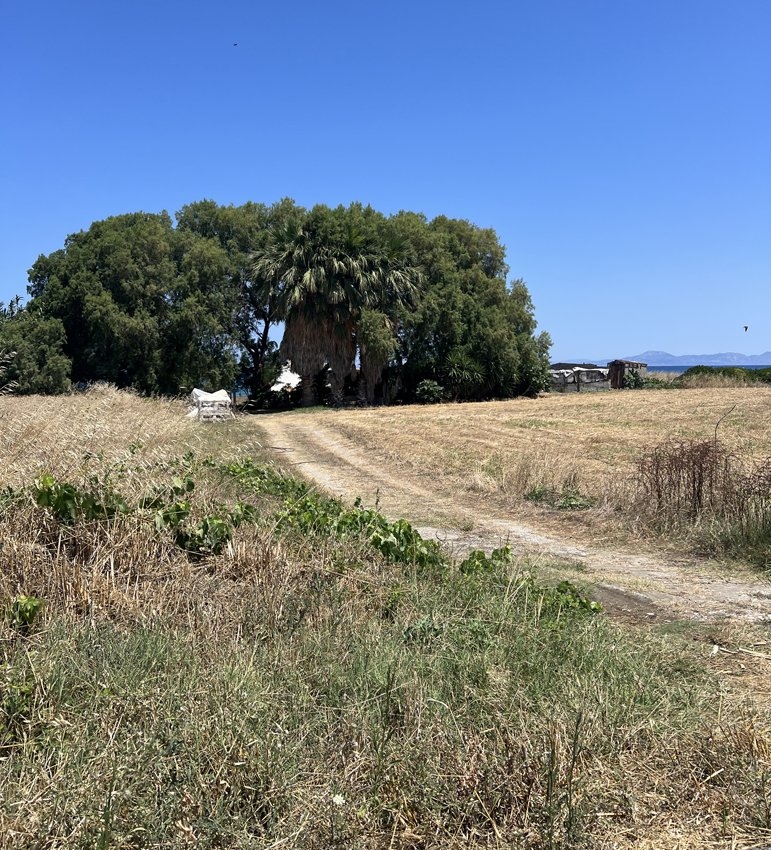 ΑΓΡΟΤΕΜΑΧΙΟ 5000 τ.μ. (2)