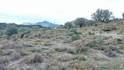 Αγροτεμάχιο  (4)