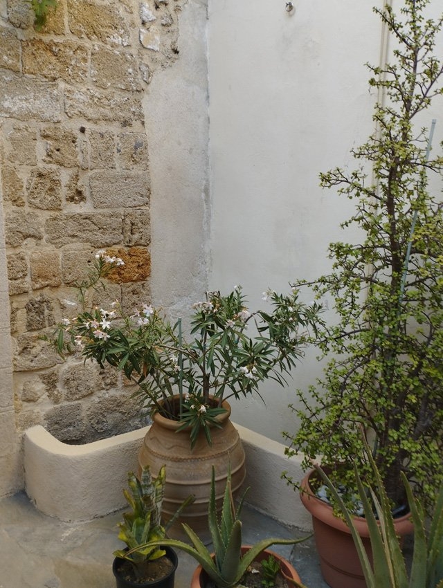 ΜΟΝΟΚΑΤΟΙΚΙΑ 150 τ.μ.