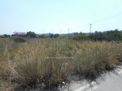 Οικόπεδο  (2)