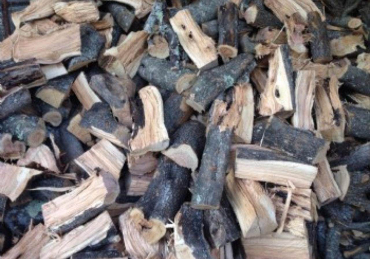 ΚΑΥΣΟΞΥΛΑ ΡΟΔΟΥ (2)