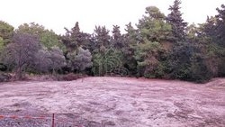 Οικόπεδο  (2)
