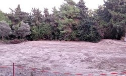 Οικόπεδο  (3)