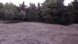 Οικόπεδο  (4)