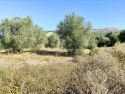 Οικόπεδο  (2)