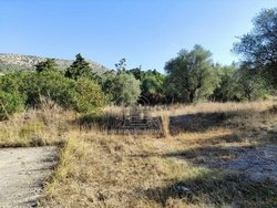 Οικόπεδο  (3)