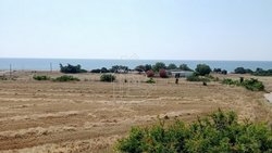 Κατοικία  (5)