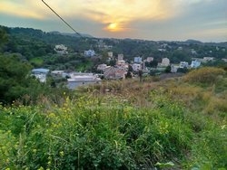 Οικόπεδο  (3)