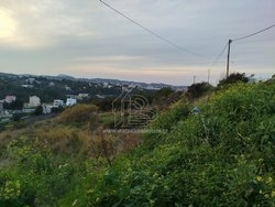 Οικόπεδο  (4)