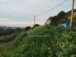 Οικόπεδο  (5)