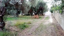 Οικόπεδο  (2)