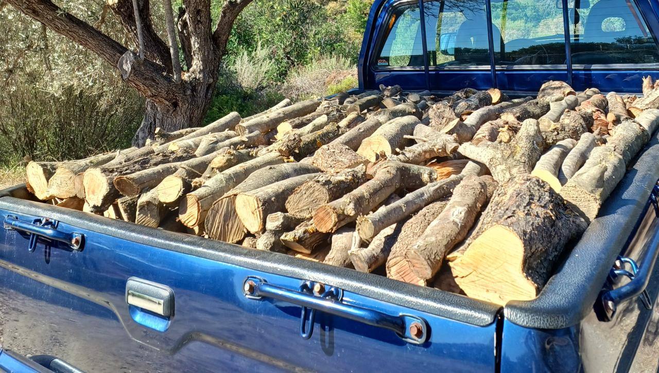 ΚΑΥΣΟΞΥΛΑ ΡΟΔΟΥ (2)