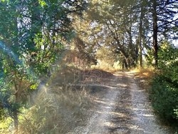 Οικόπεδο  (2)