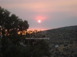 Οικόπεδο  (5)