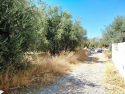 Οικόπεδο  (5)