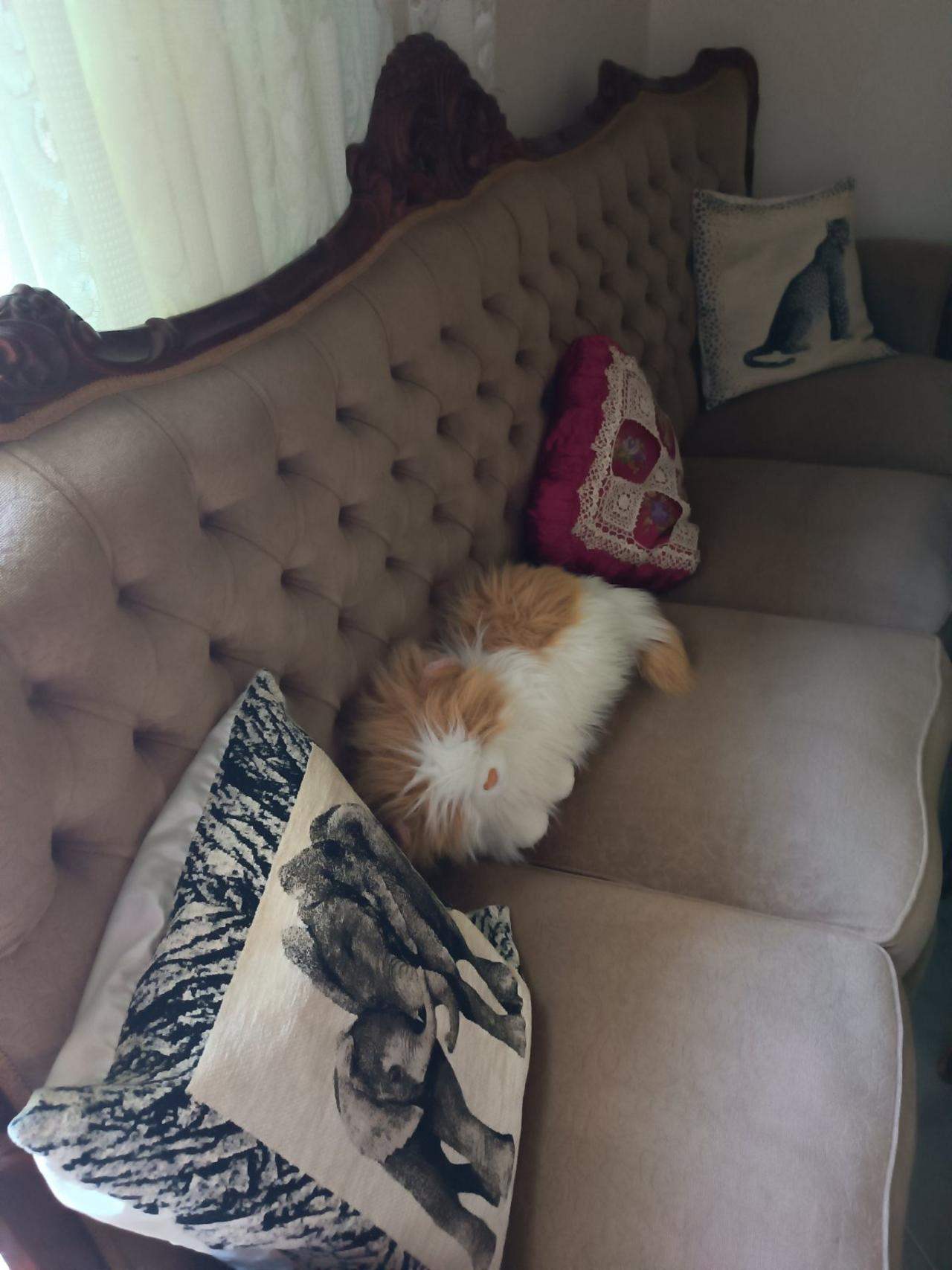 Πωλείται Σαλόνι Κλασσικό 