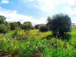 Οικόπεδο  (2)