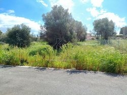 Οικόπεδο  (3)