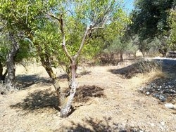 Οικόπεδο  (2)