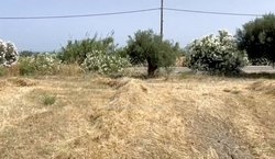 Οικόπεδο  (3)