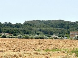 Οικόπεδο  (4)